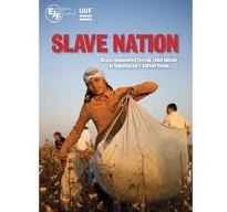 ejf report1